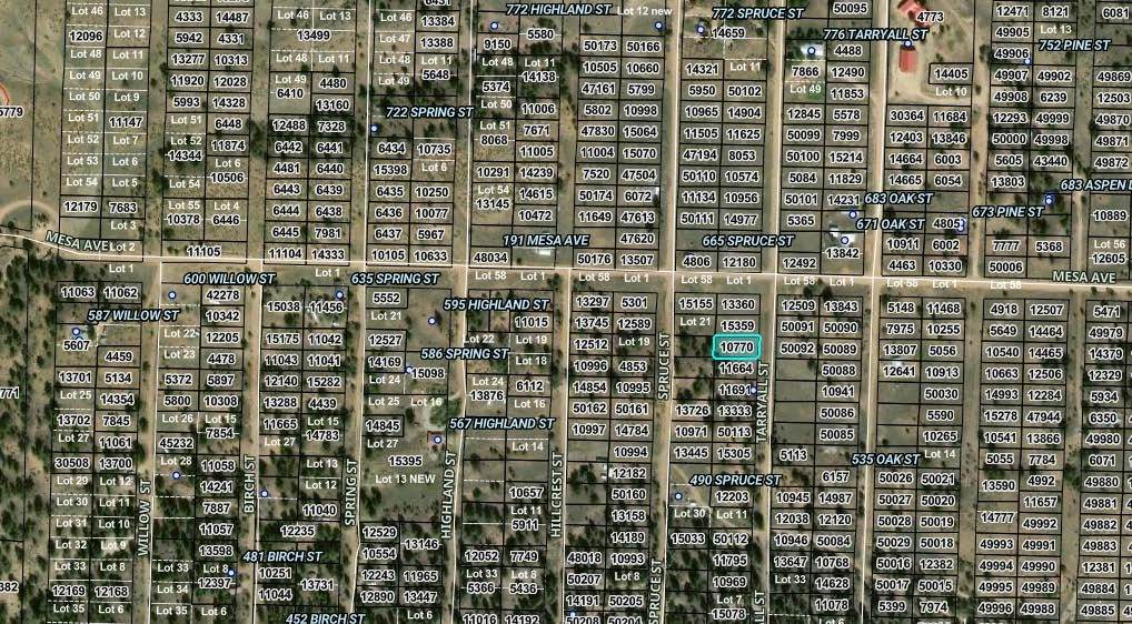 000 Tarryall Street - Photo 1