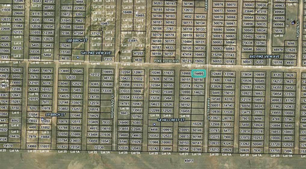 0000 Tarryall Street - Photo 1