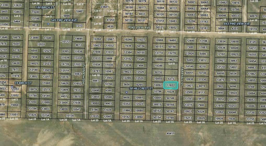 00000 Tarryall Street - Photo 1