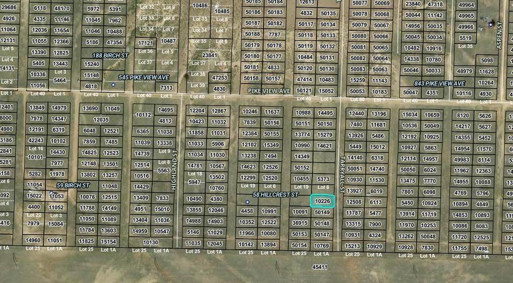 00001 Tarryall Street - Photo 1