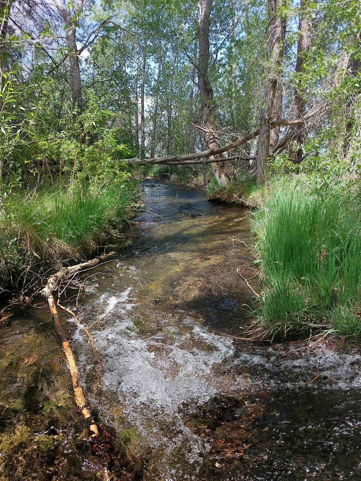 63001 Cc County Road - Photo 1