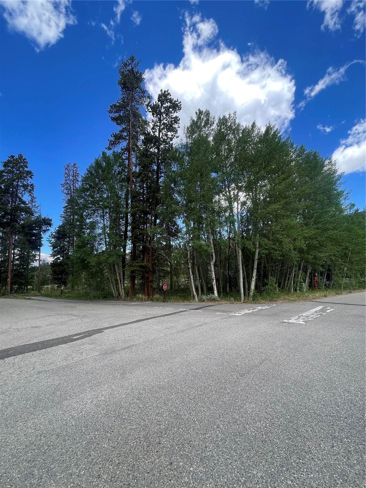 96 Elk Crossing Lane - Photo 1
