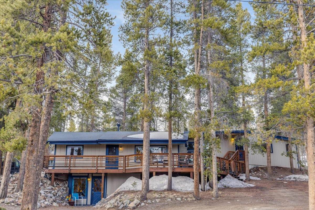 1981 Boreas Pass Road - Photo 1