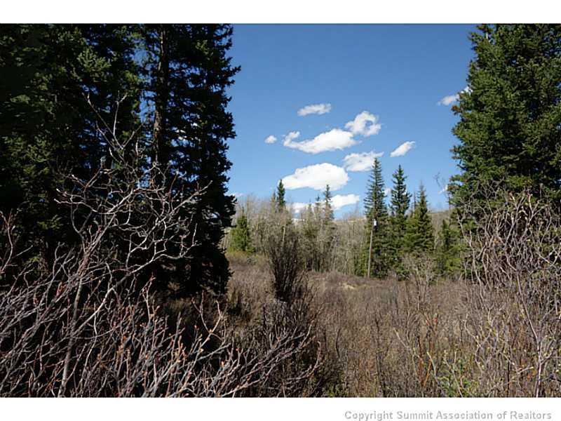 0 Mine Dump Road - Photo 1