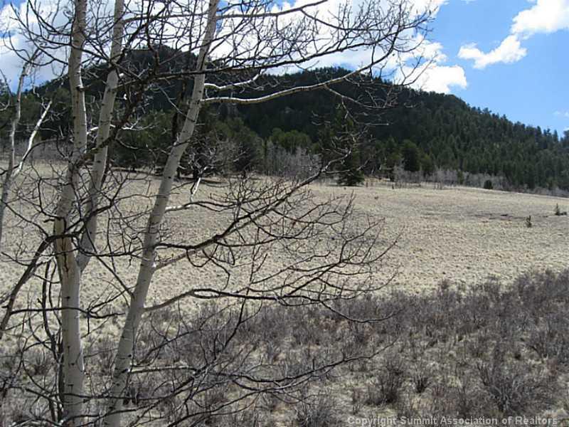 1188 Ouray Trail - Photo 1