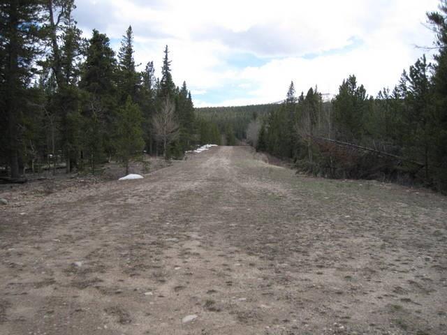 TBD Arts Pike, Fairplay, CO 80440 (MLS #S1002658) :: CENTURY 21, The Smits Team