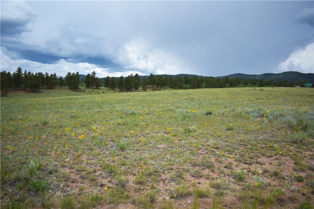 767 Brahma Circle - Photo 1