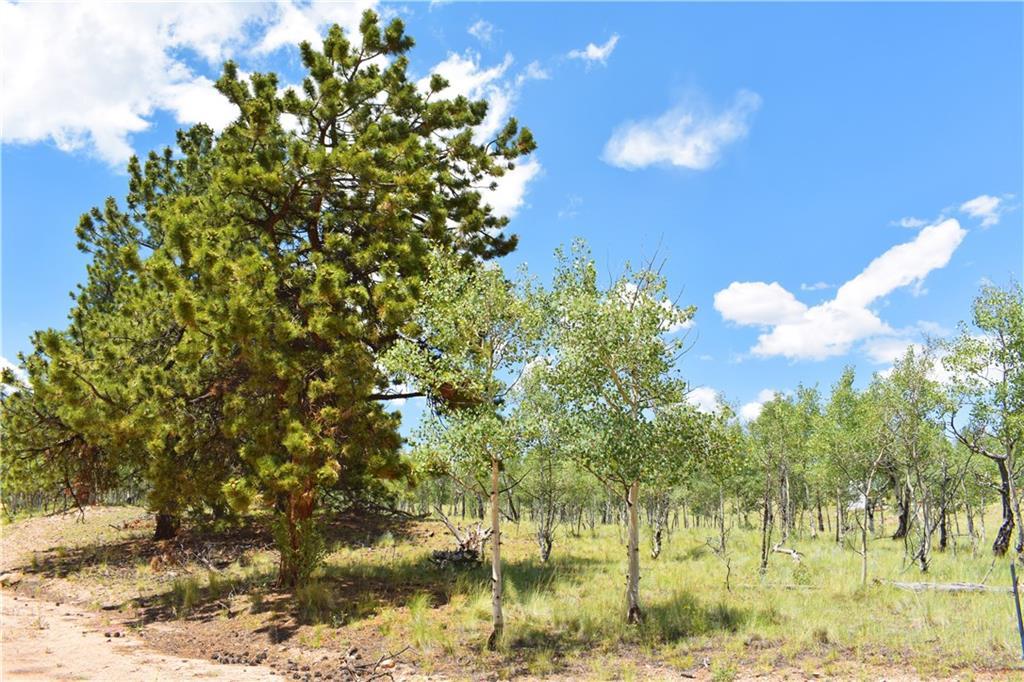 406 Bob White - Photo 1