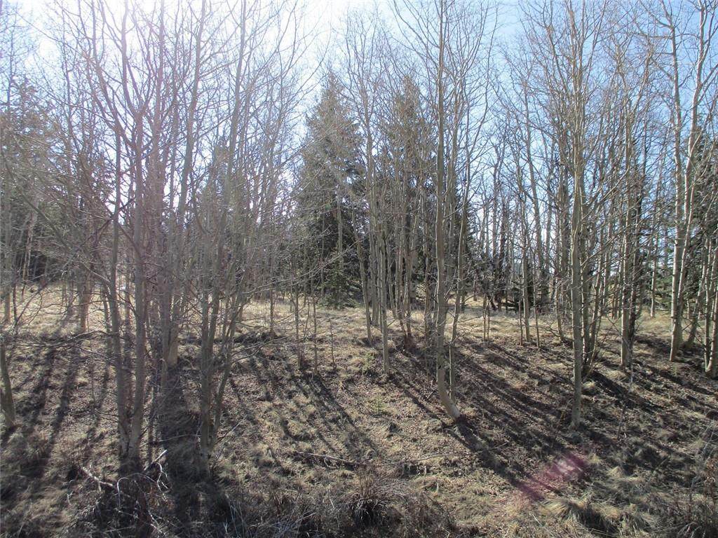 1000 Longbow Drive - Photo 1