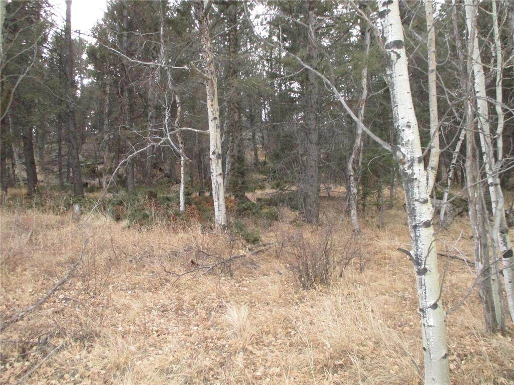 471 Horseshoe Trail - Photo 1