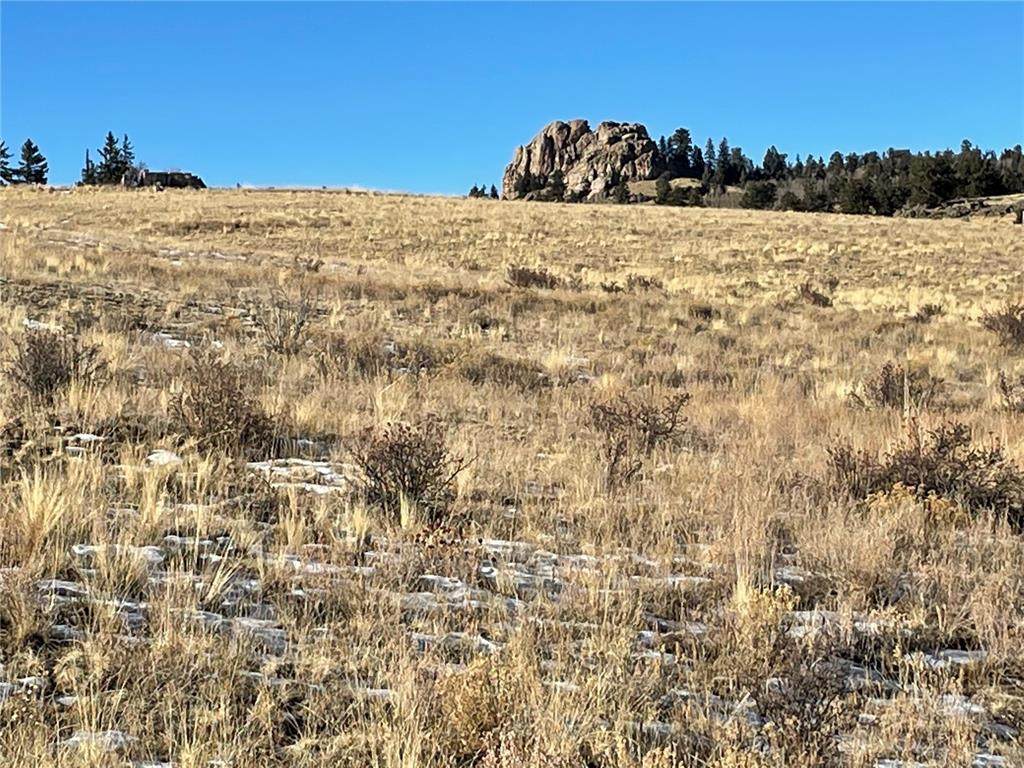 215 Ouray Trail - Photo 1