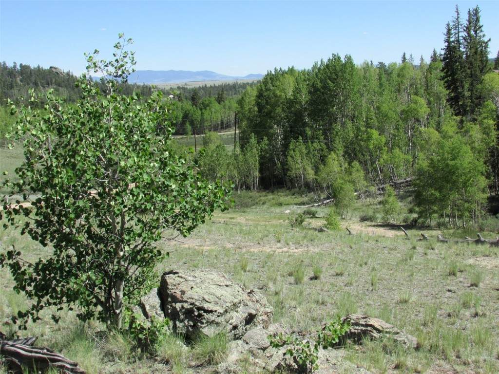 61 Idaho Court - Photo 1