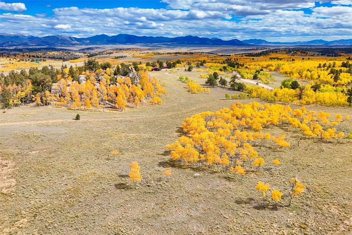 4019 Buffalo Ridge Road - Photo 1