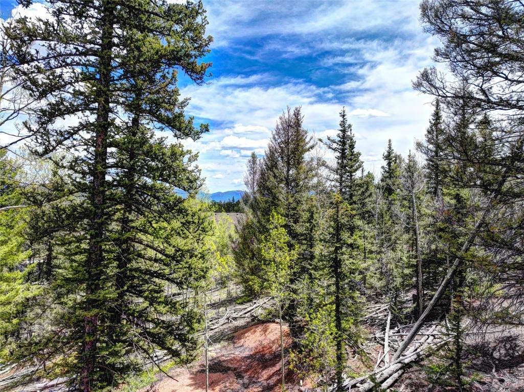 258 Old Squaw Road - Photo 1