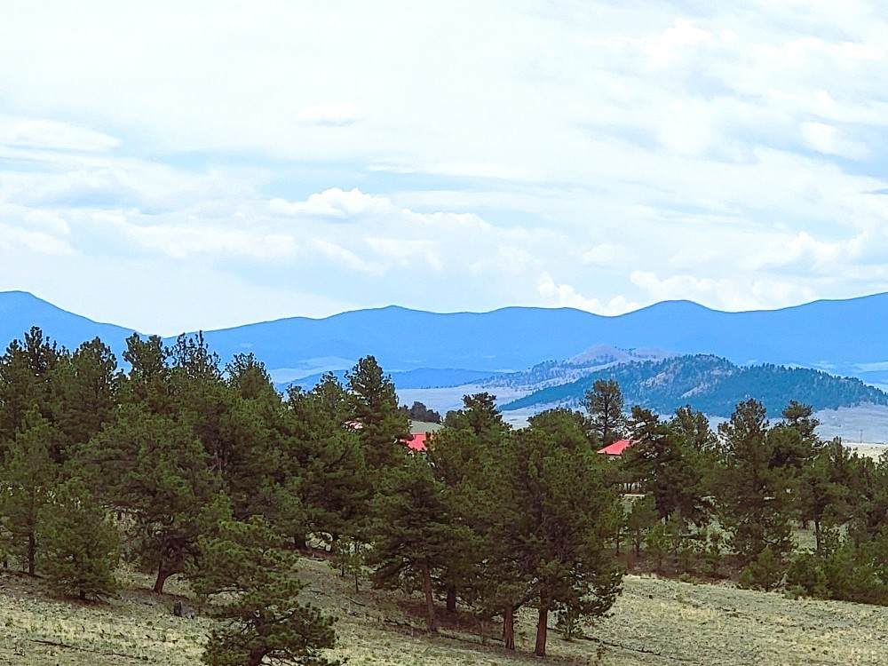 59 Zion Court - Photo 1