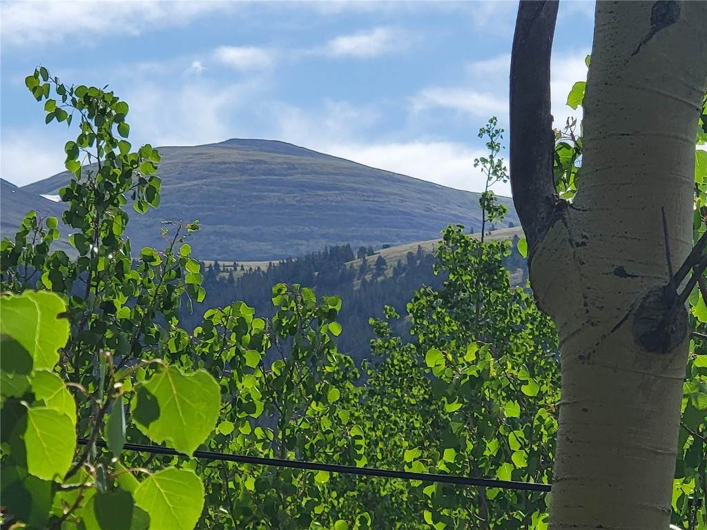 1191 Quartzville Road - Photo 1