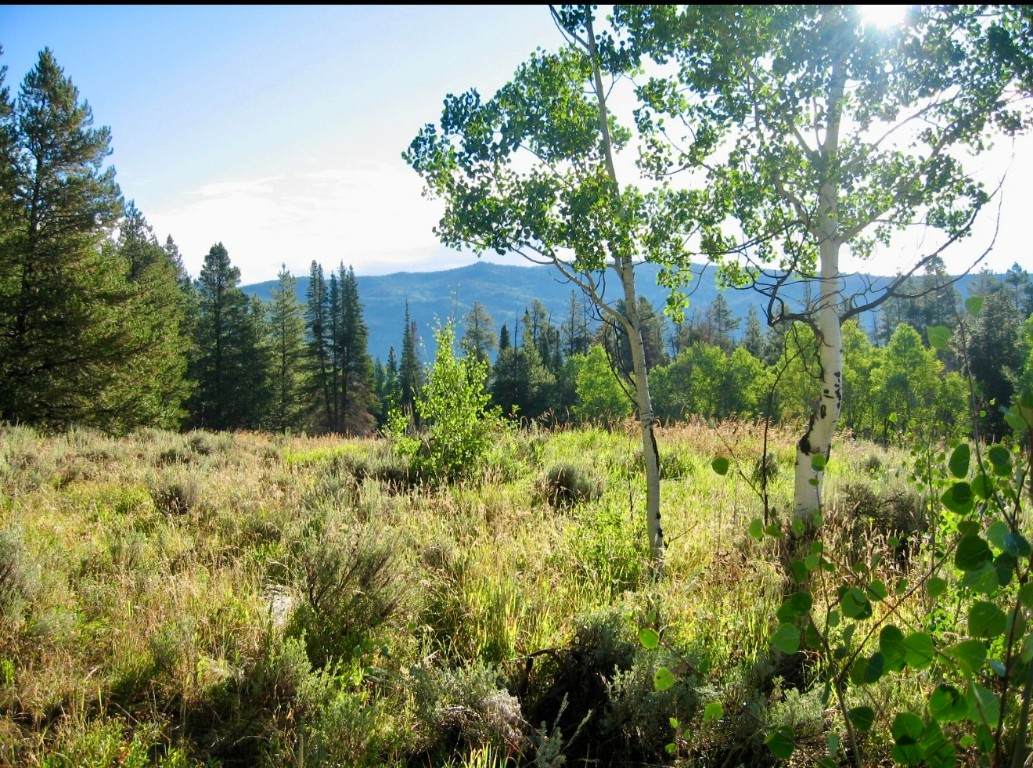 33413 Tewa Way - Photo 1