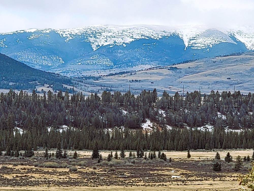 403 Redhill Road - Photo 1