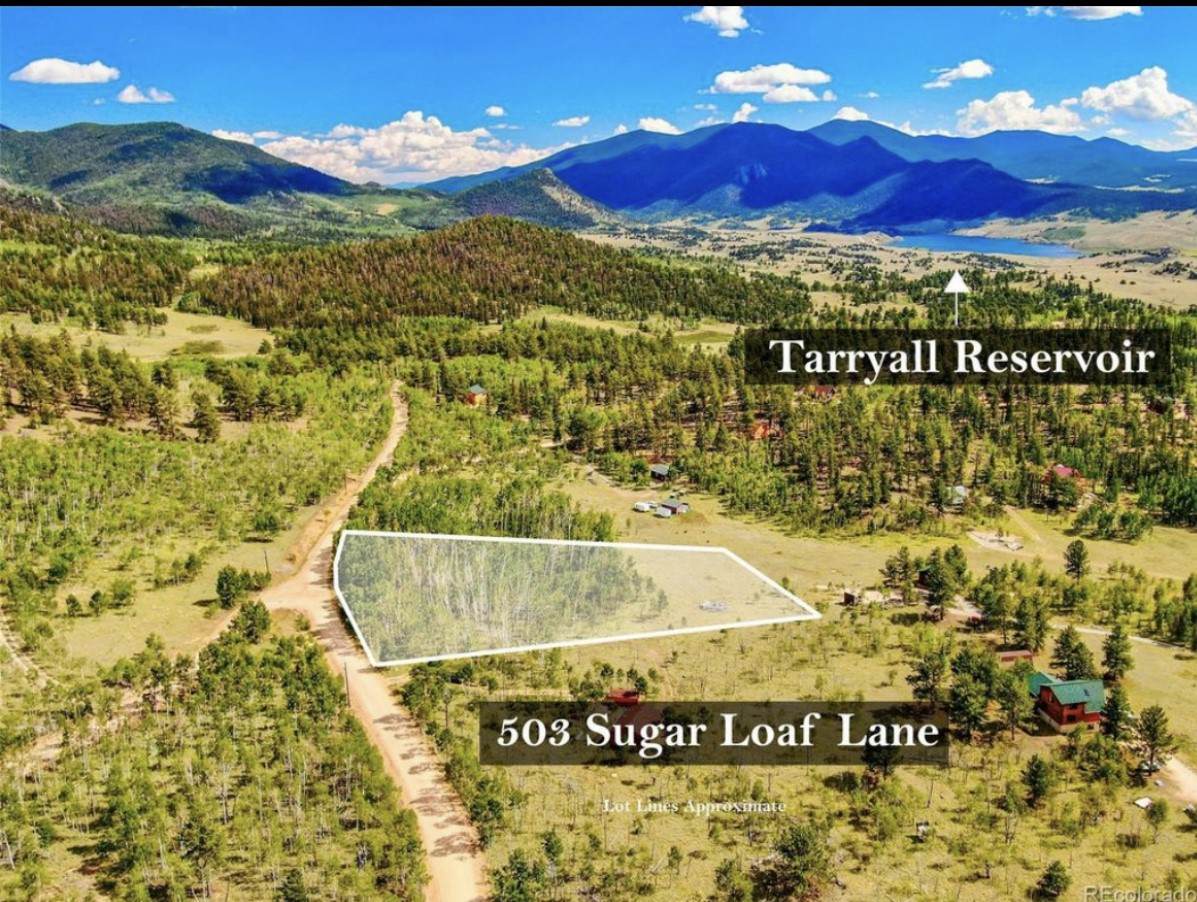 503 Sugar Loaf Lane - Photo 1