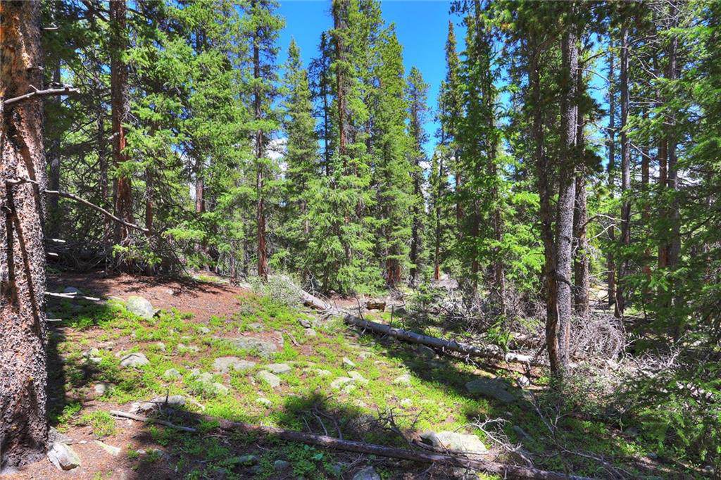 Lot 1111 Tombstone Road - Photo 1