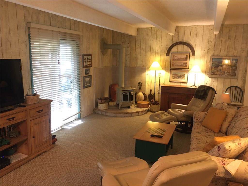 700 Snowberry Lane - Photo 1