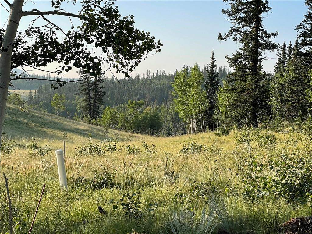 450 Teton Trail - Photo 1