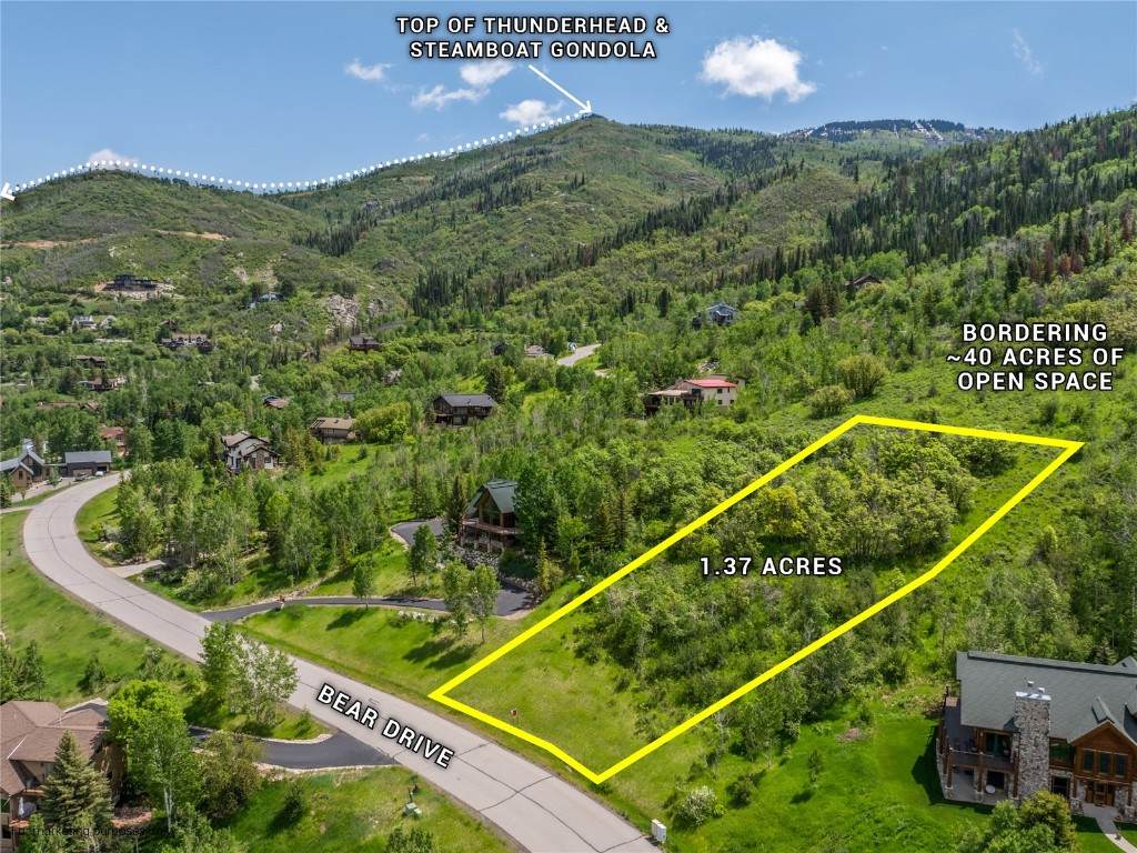 2245 Bear Drive - Photo 1