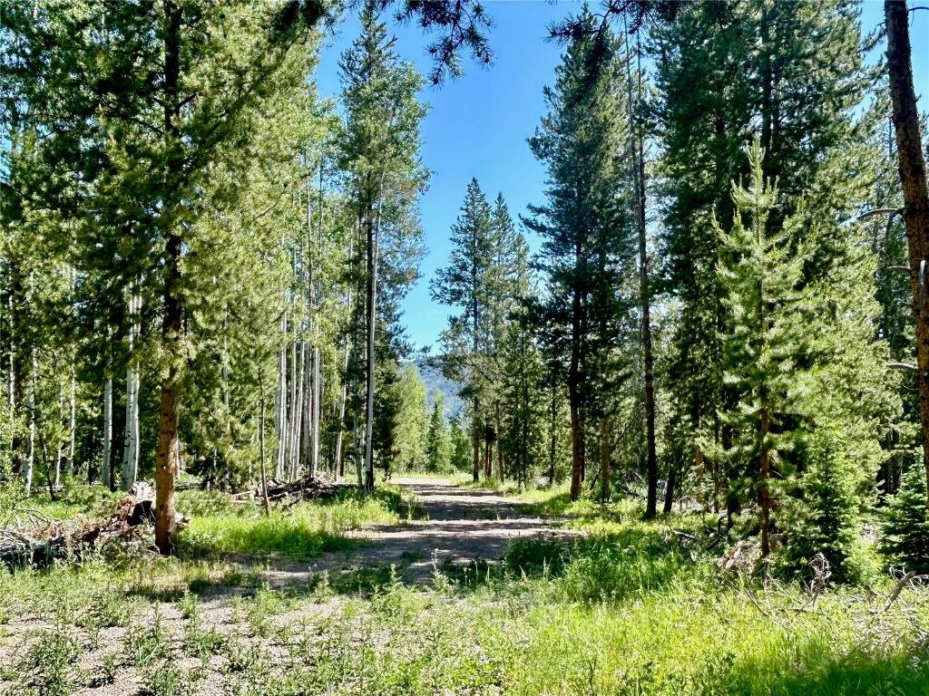 20685 Cinch Trail - Photo 1