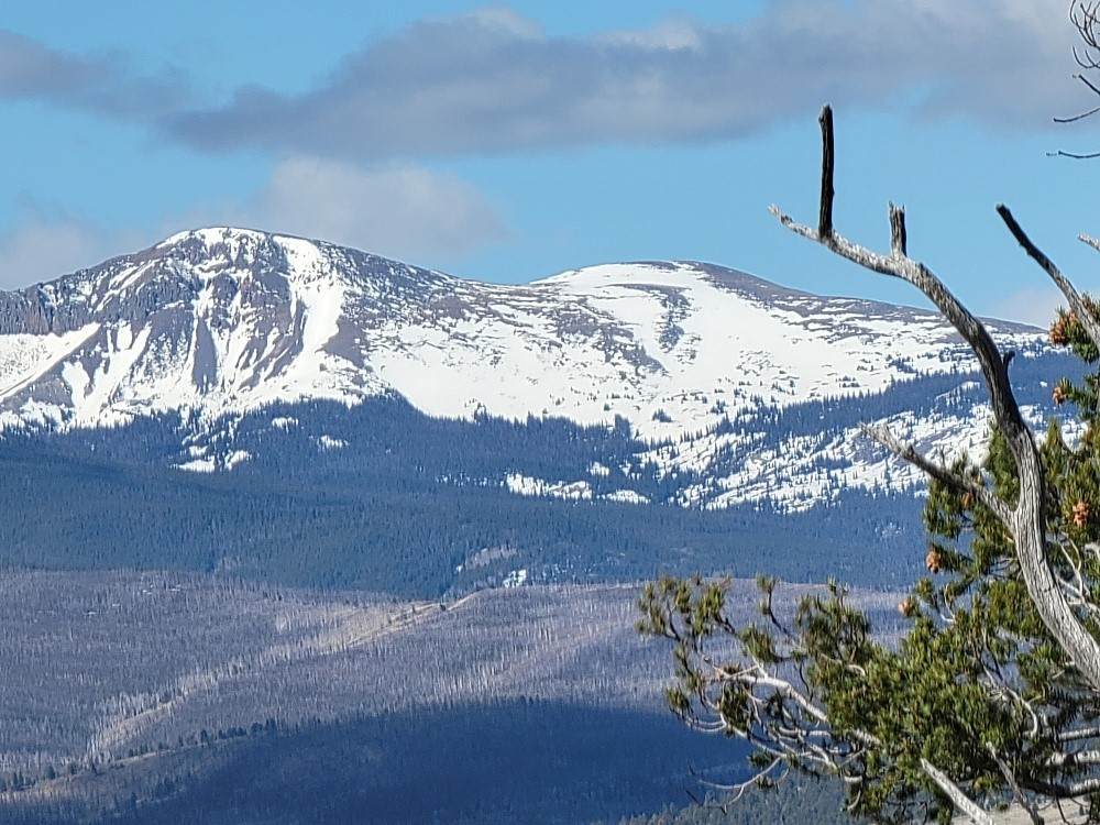1411 Middle Fork - Photo 1