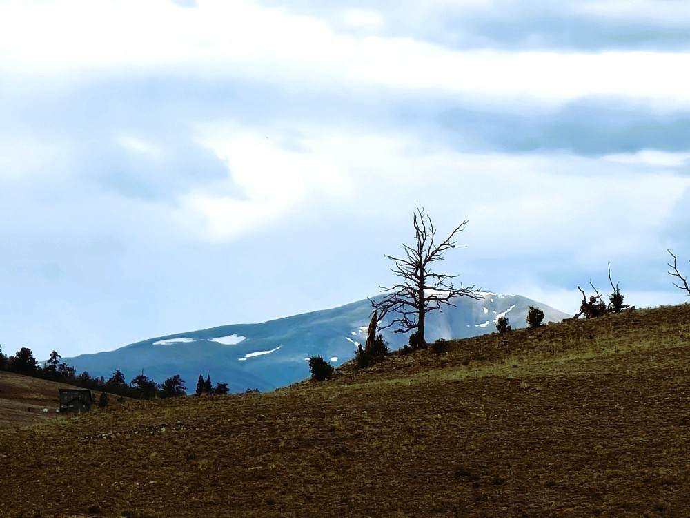 384 Cathy Drive - Photo 1