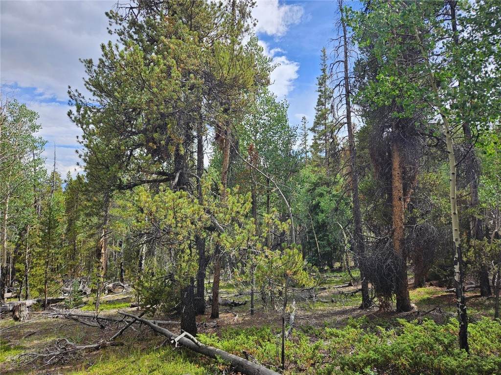 PCS#7923 Suds Spot - Photo 1