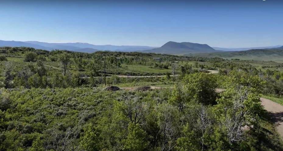 50560 Smith Creek Park Road - Photo 1