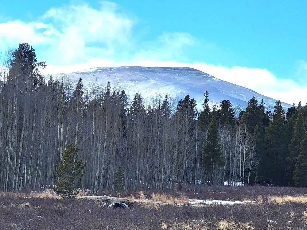 162 Thickspike Road - Photo 1