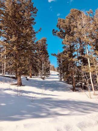 305 Breakneck Pass Court - Photo 1