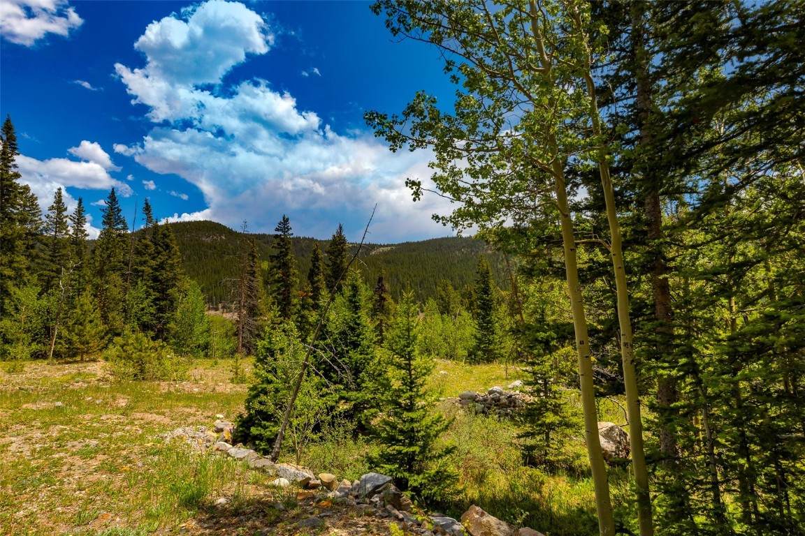 522 Quartzville Road - Photo 1