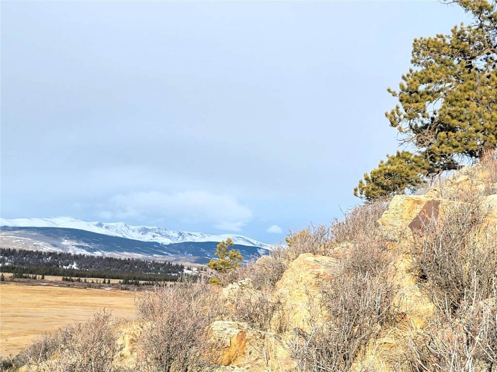 337 Redhill Road - Photo 1