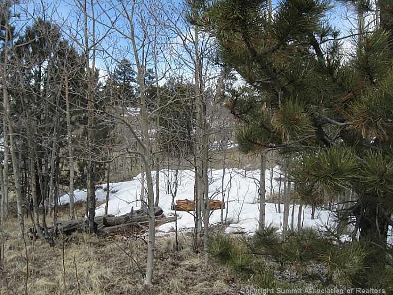 35 Ibes Court - Photo 1