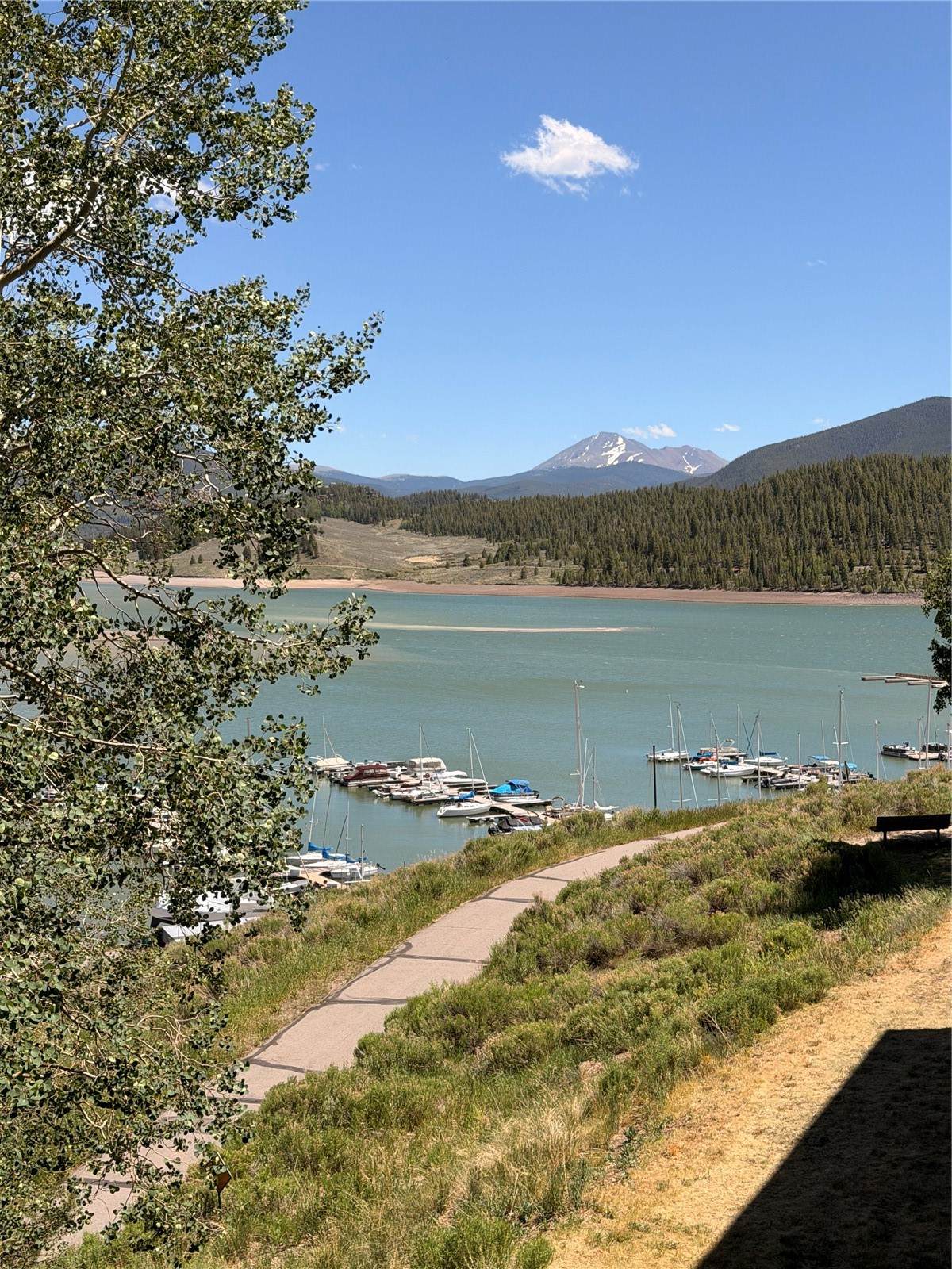 220 La Bonte Street - Photo 1