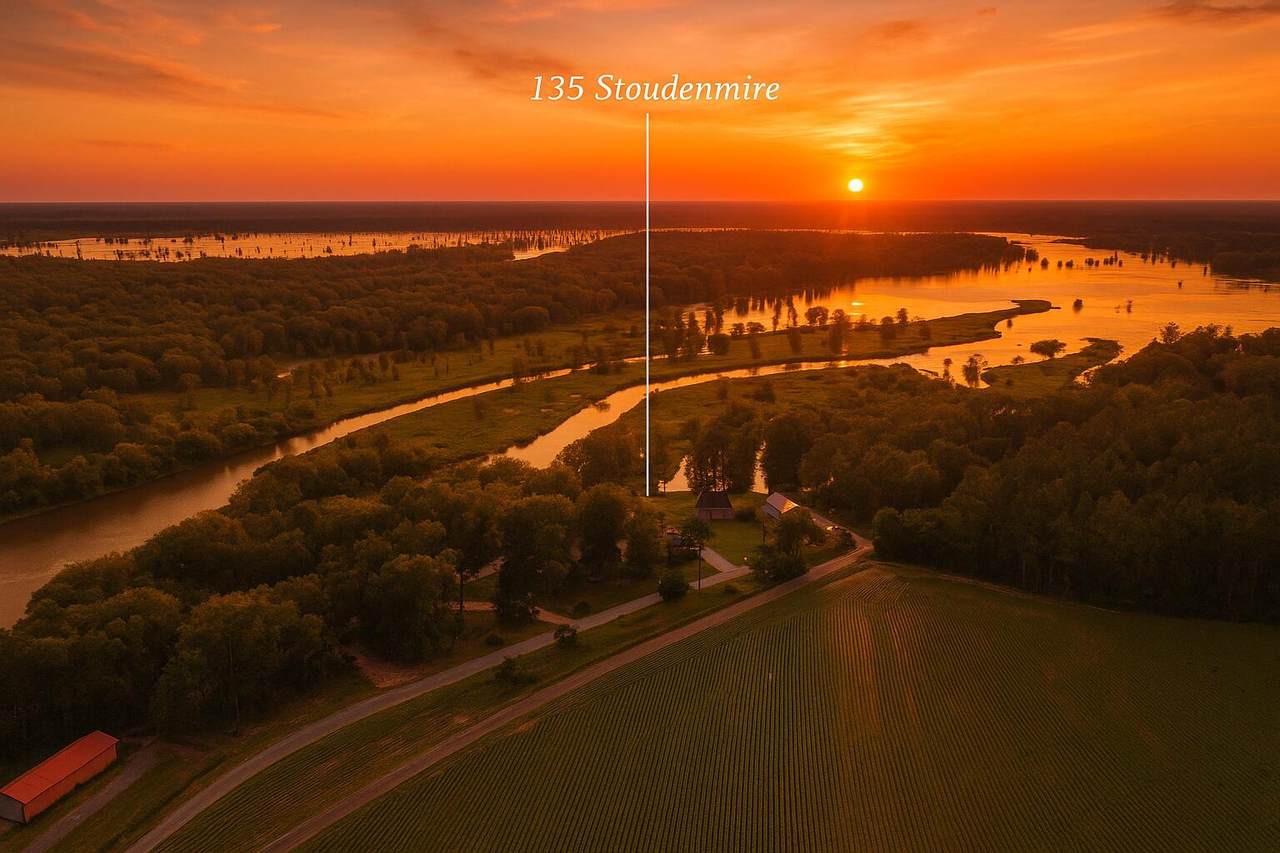 135 Stoudenmire Drive - Photo 1