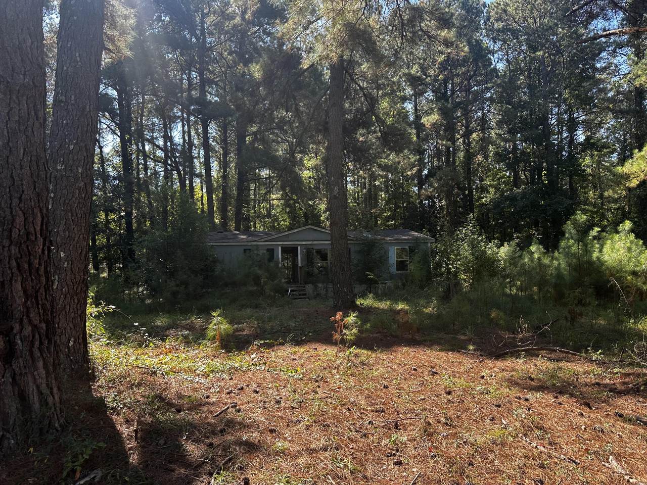 4335 Livingwood Lane - Photo 1