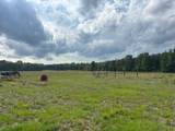 6880 Bloomville Road - Photo 22