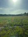 6880 Bloomville Road - Photo 28