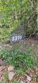 2370 Princess Pond Road - Photo 1