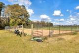 1404 Dog Island Road - Photo 19