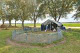 1404 Dog Island Road - Photo 20