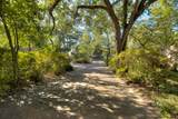 37 Saratoga Street - Photo 64