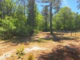270 Migrant Camp Road - Photo 27