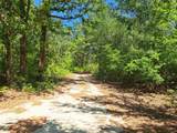 270 Migrant Camp Road - Photo 28
