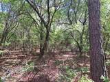 270 Migrant Camp Road - Photo 30