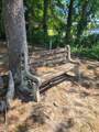 1345 Holland Road - Photo 5